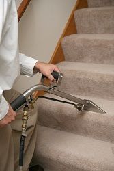 br2 carpet cleaners bromley