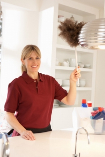 Upholstery Cleaning Made Easy With Domestic Cleaners